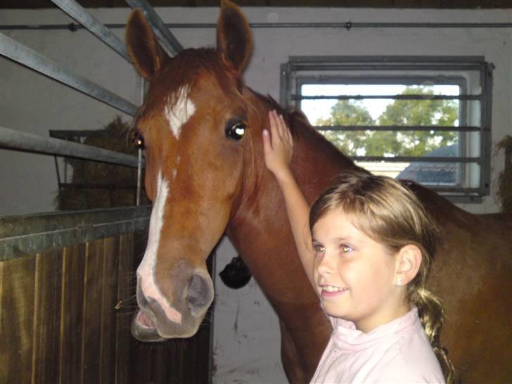 Anden særlig race Damgaard's Spirit R.I.P. billede 1