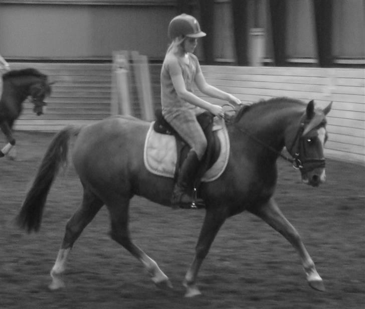 Anden særlig race Nikolaj - Super sakth du er blevet såå go :D  billede 8