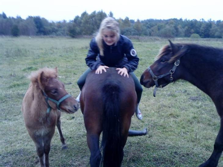 {{currentPhoto.altText}} billede {{currentPhoto.number}}