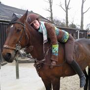 Anden særlig race Zafir