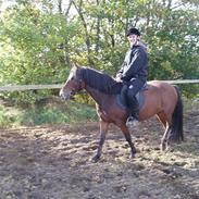 Anden særlig race NICOLE