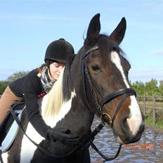 Anden særlig race Ronja