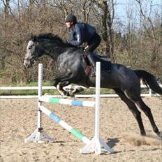 Fuldblod (XX) Kozlak XX RIP