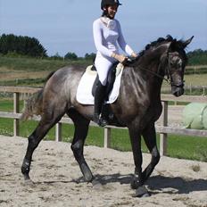 Fuldblod (XX) Kozlak XX RIP