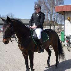 Anden særlig race Kingston's Zolo