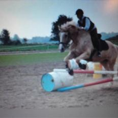 Anden særlig race Mulle