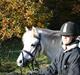 Anden særlig race Perle<3 R.I.P.