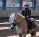 Haflinger Mirabell   (Storesøsters)