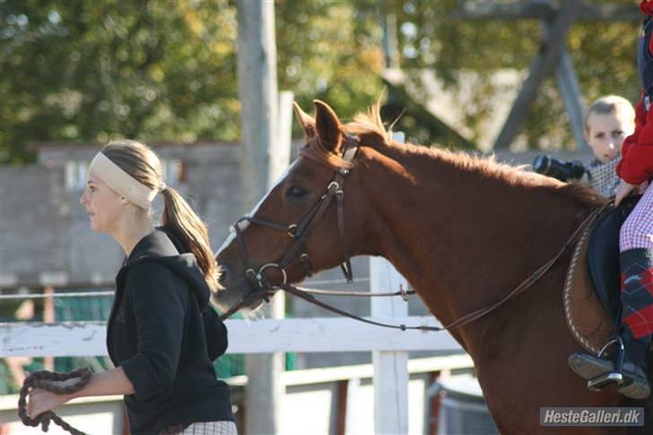 Anden særlig race WhiteSocks - Mig og Bassen x3, da jeg skulle trække en lille pige i hendes klasse (-: tak Lund!<3
 billede 7