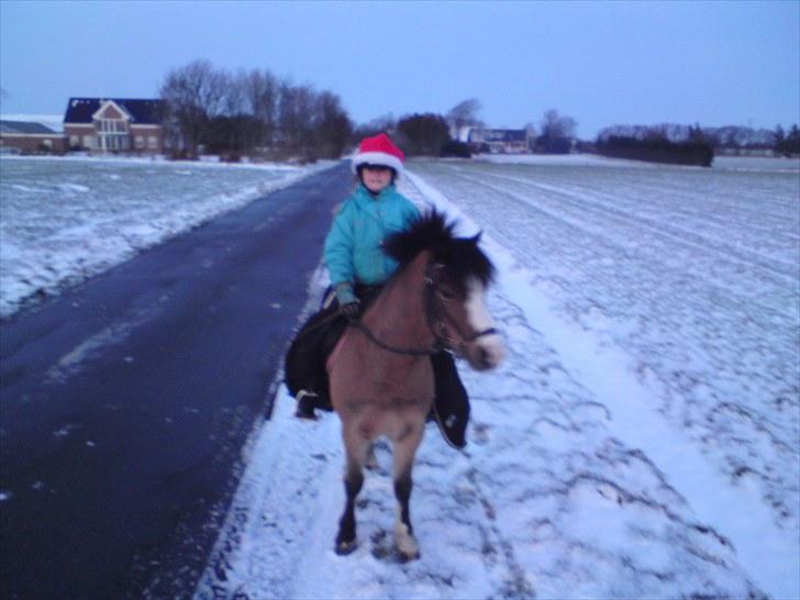 Welsh Mountain (sec A) Springbourne Huckleberry A-PONY (SOLGT) - hugo og mig i sne. (Gammelt billede)
2010 billede 5