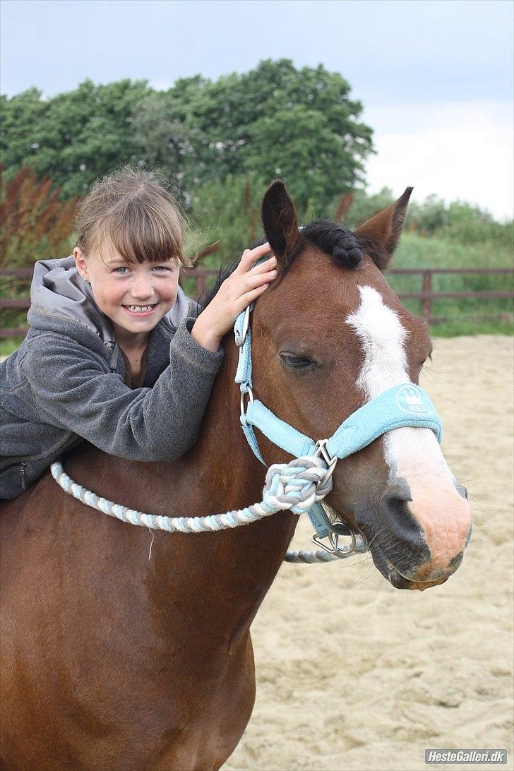 Welsh Mountain (sec A) Springbourne Huckleberry A-PONY (SOLGT) - hugo og miig!<3<3<3
Gammelt billede billede 6