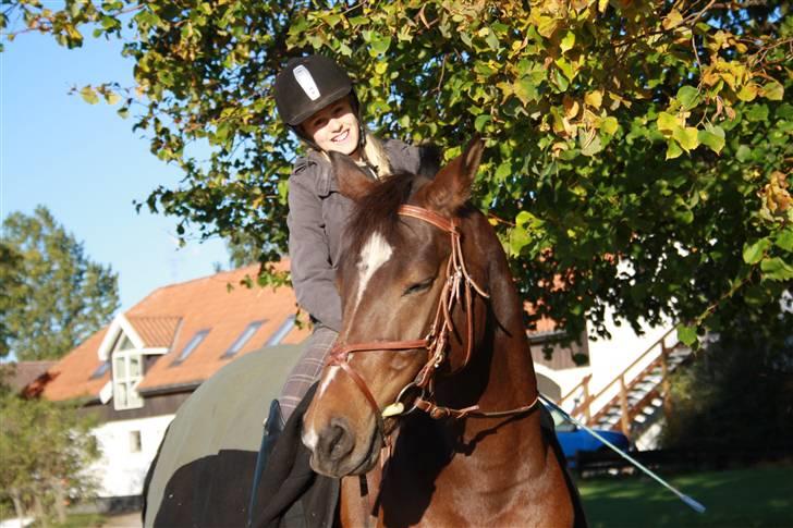 Anden særlig race Lucky  - Håret er i top, så kører vi :D billede 8