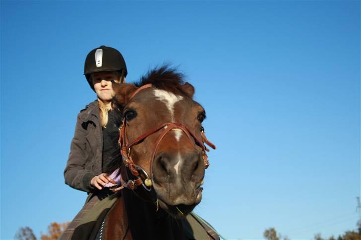 Anden særlig race Lucky  - Denne gang er det Freja der får skældud,, typisk Lucky :) billede 10
