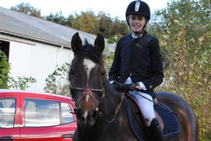 Anden særlig race Lucky  - Smukke Lucky. Foto; Louise :) jeg elsker dig Lucky <3333333 billede 16