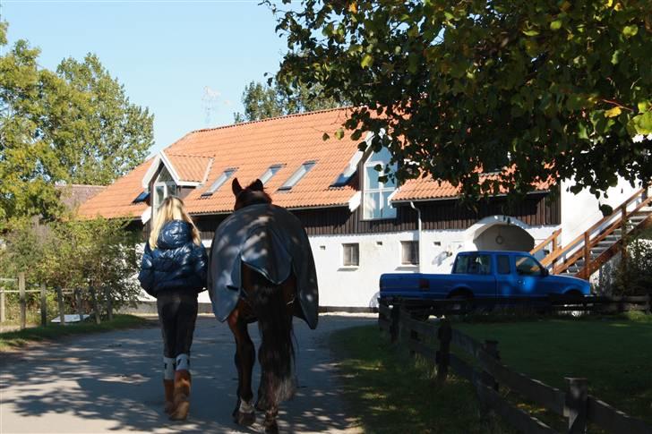 Anden særlig race Lucky  billede 18