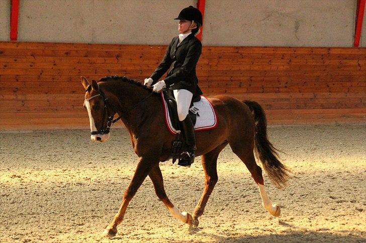 Tysk Sportspony Artos (fedtmulen) B-pony - Første LA6 d.8 maj i Fakse rideklub på vej op ad midten :). 68,42% til en 2.plads og B-pony ! :D <3   Foto : Laura Bogut Andersen billede 14