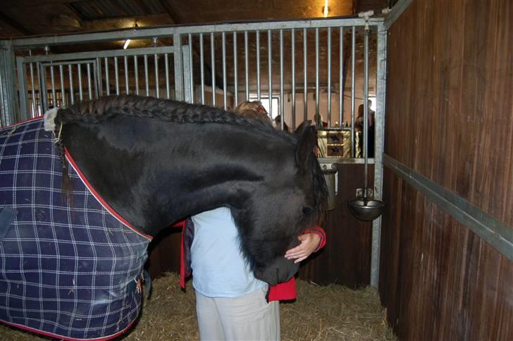 Frieser Tikki - Mutter og Tikki i en hyggestund. billede 12