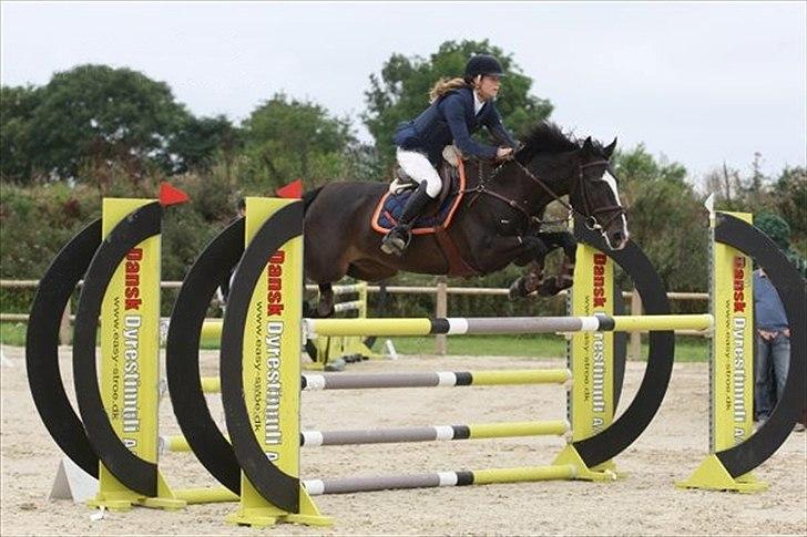 Irsk Sportspony Top Bacardi - SOLGT - Velkommen til Big Food´s (Top Bacardi) profil! ;) MA* i middelfart 3 plads <3 billede 1