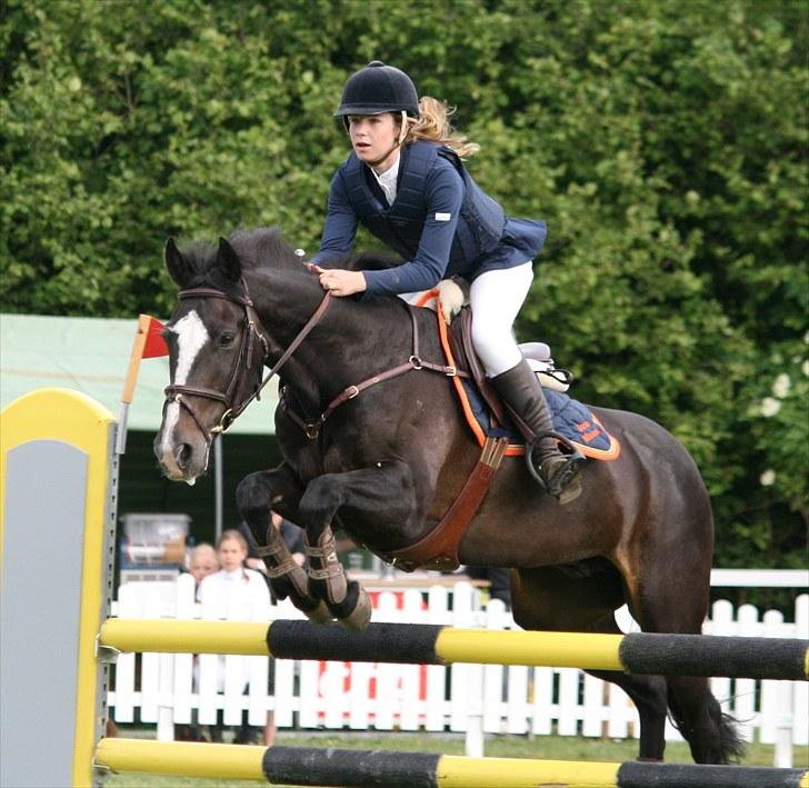 Irsk Sportspony Top Bacardi - SOLGT - MB til Svendborg distriktsstævne, nul og 3 plads :) Foto: Clara Chop billede 10