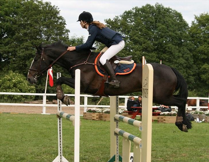 Irsk Sportspony Top Bacardi - SOLGT - MB til Svendborg distriktsstævne, nul og 3 plads :) Foto: Clara Chop billede 11