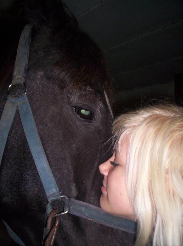 Oldenborg - Shadow  *BASSE. billede 10