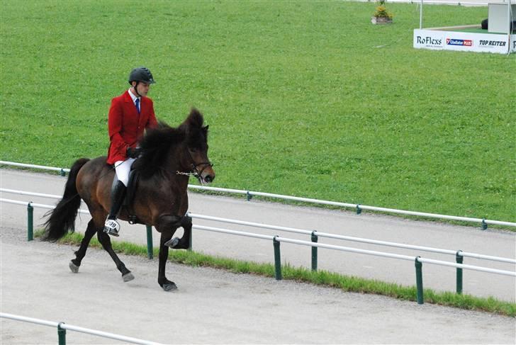 Islænder Nettla fra Thorsvighus - Nettla´s far Magnus fra Dalur, Verdensmester i avl for 7 år & ældre & den højeste kårede til årest VM (: <3 billede 11