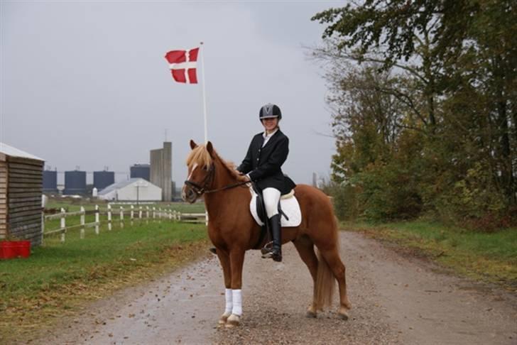 Anden særlig race Højvangen´s Lukas<3 billede 4