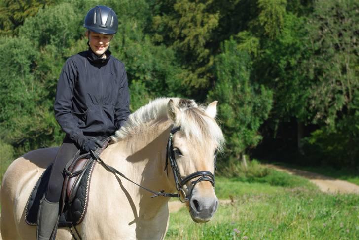 Fjordhest Ågerupgaards Kikki opsagt - Fordi du ser smuk ud her <3 Foto-Anna Benfeldt billede 12