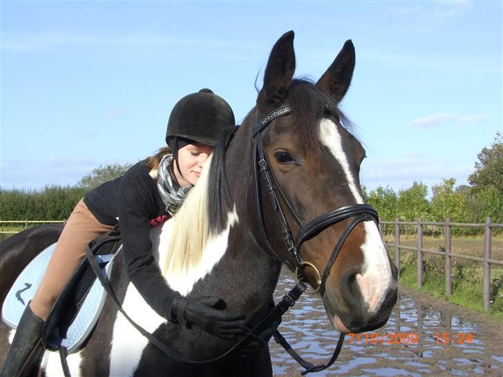 Anden særlig race Ronja - Elsker dig tøsen..i;<3 {Foto: Pernille} billede 2