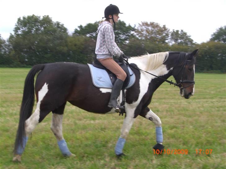 Anden særlig race Ronja - Skridt på stuibmarken :) {Foto: Marlene} billede 5