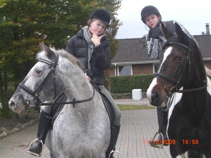 Anden særlig race Ronja - På tur til Vedsted sammen med de bedste :´)<3 Super hyggelig dag..i; {Foto: Julie}  billede 6