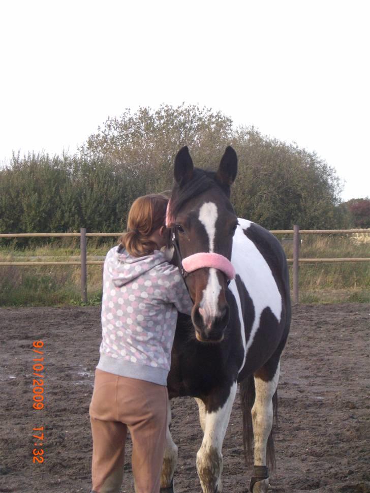 Anden særlig race Ronja - looooove!´i;<3 {Foto: Pernille} billede 14