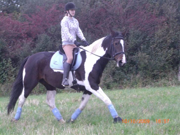 Anden særlig race Ronja - Trav :) {Foto: Marlene} billede 15