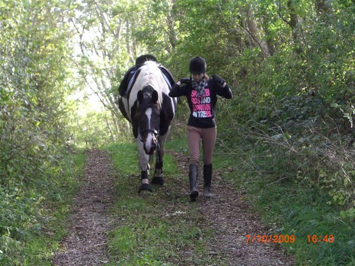 Anden særlig race Ronja - På vej hjem fra marken, elsker dig.. :´) Tak for kigget. Læg gerne en kommentar og en bedømmelse. (: {Foto: Pernille} billede 17