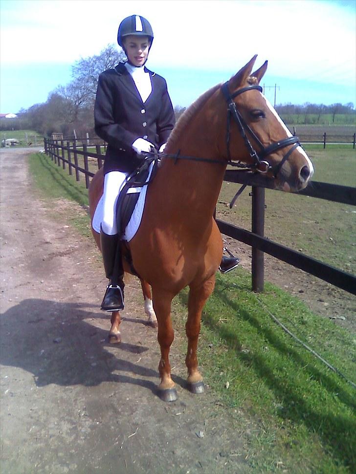 DSP sunshine (part) - velkommen til Sunshines profil:)  billede 13