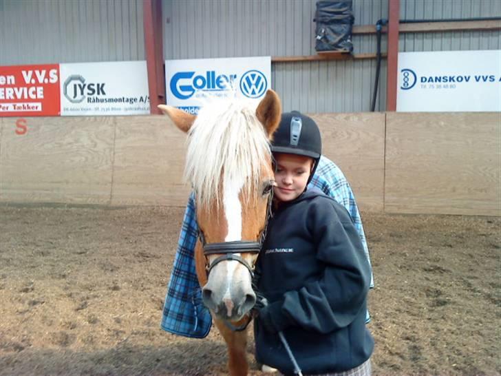 Haflinger lonnie - dig&mig foraltid i; billede 3