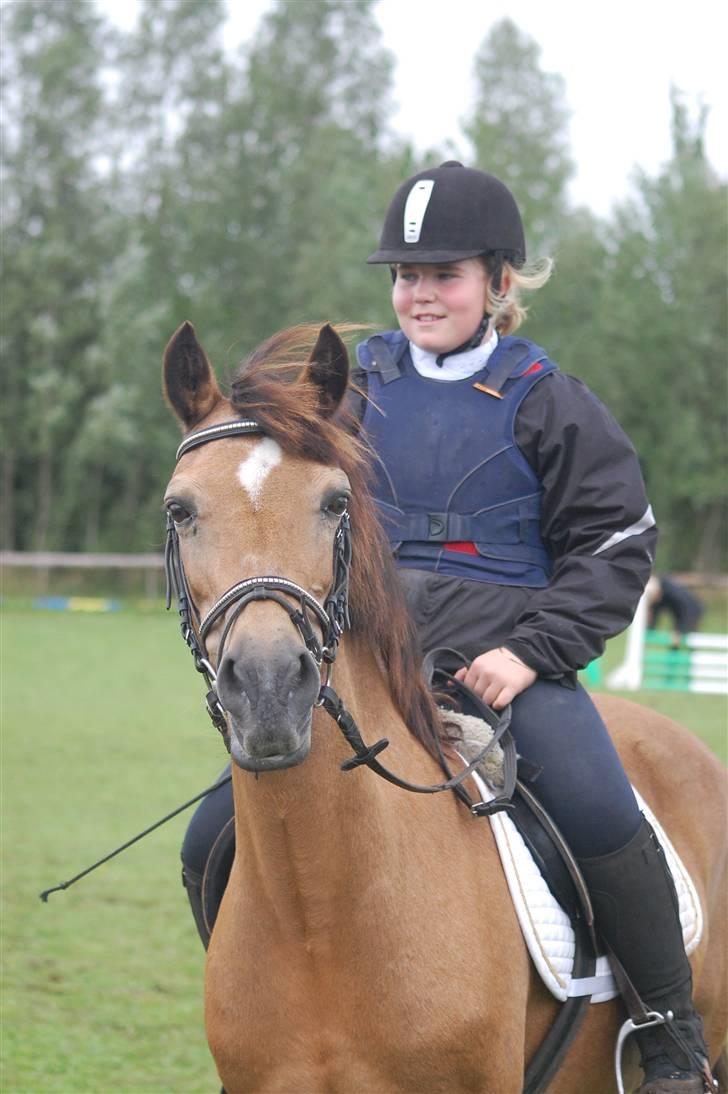 Welsh Pony af Cob-type (sec C) Camilla-tut :-) - Til præmie overrækkelse :D foto: CP-foto - Camilla petersen billede 11