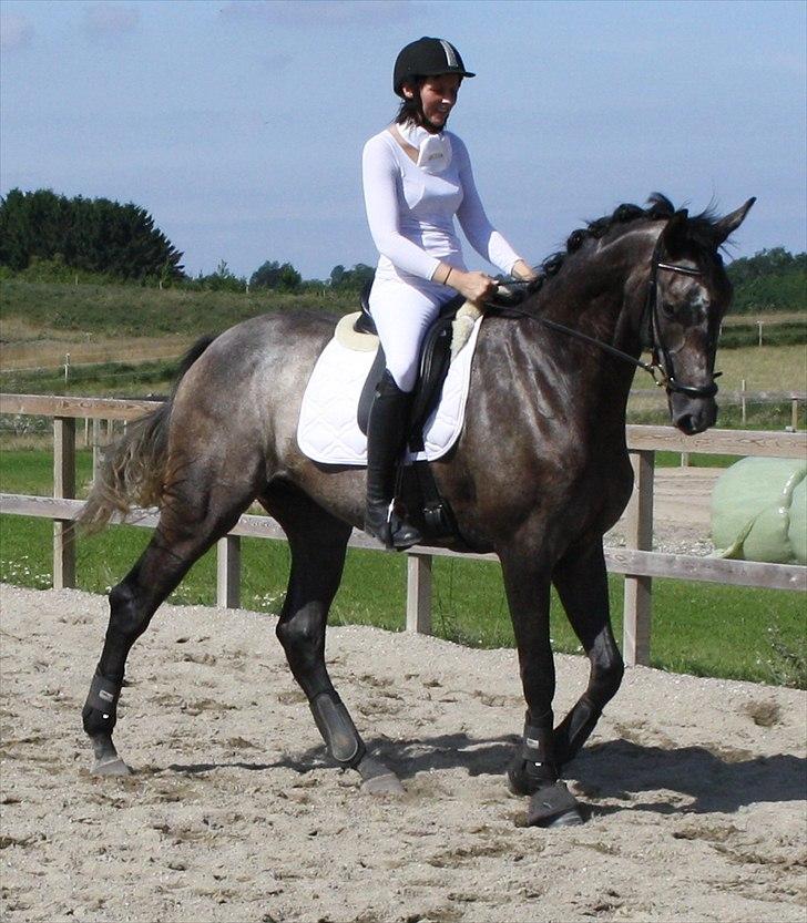 Fuldblod (XX) Kozlak XX RIP - første stævne billede 2