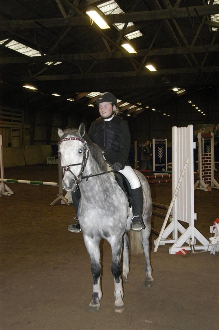 New Forest Firfod Filejs  - Præmieoverrækelse til første klubstævne fik en 2 plads  **NYT** billede 18