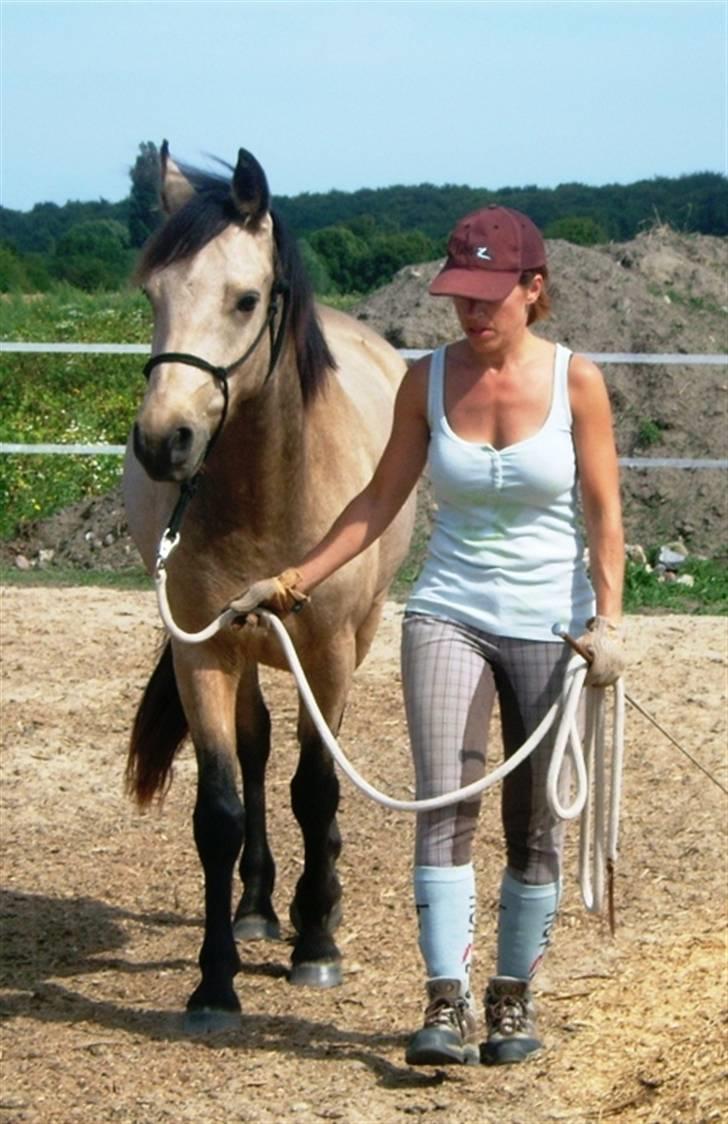 Connemara AC-Fearless Å'boy Engvang billede 13