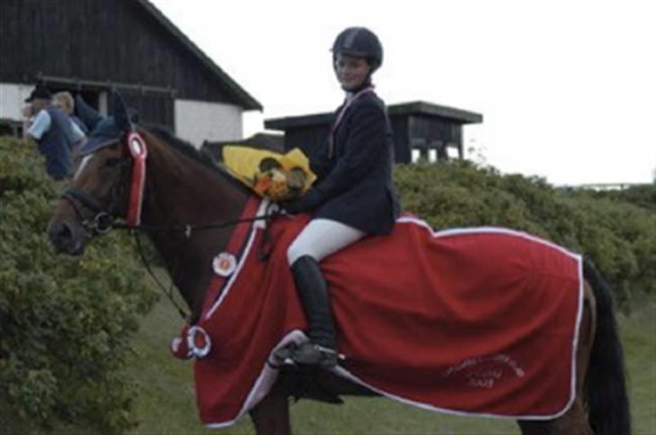 Dansk Varmblod Lirona RDH 3959 - Sjællandsmestre individuelt U-21 2003!!! billede 7