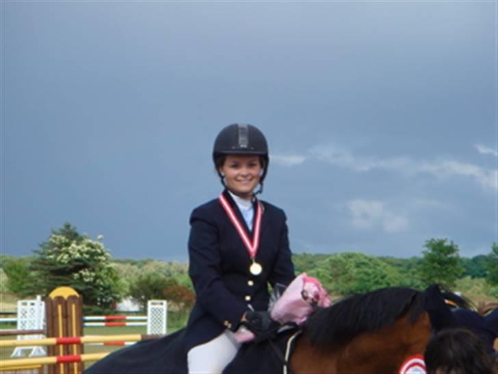 Dansk Varmblod Lirona RDH 3959 - Distriktsmestre Hold 2008 billede 8