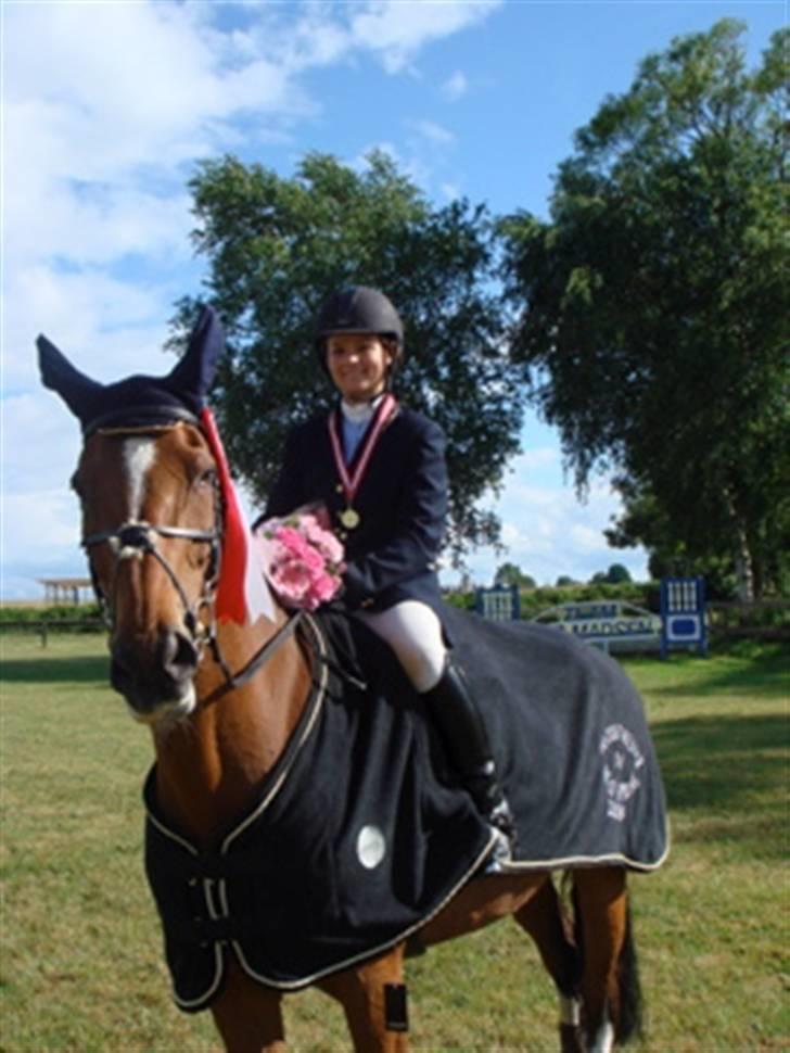 Dansk Varmblod Lirona RDH 3959 billede 10