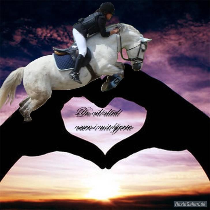 Connemara cantali *SOLGT:'( * - lavet af camilla tak!<33  billede 13