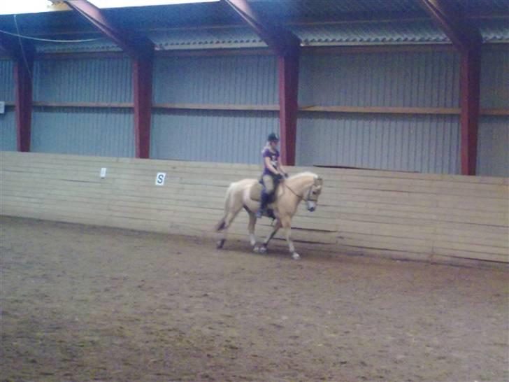 Fjordhest EMINENT (Emma) - Mig og Emi, der går han da flot:D Foto: Sarah billede 4