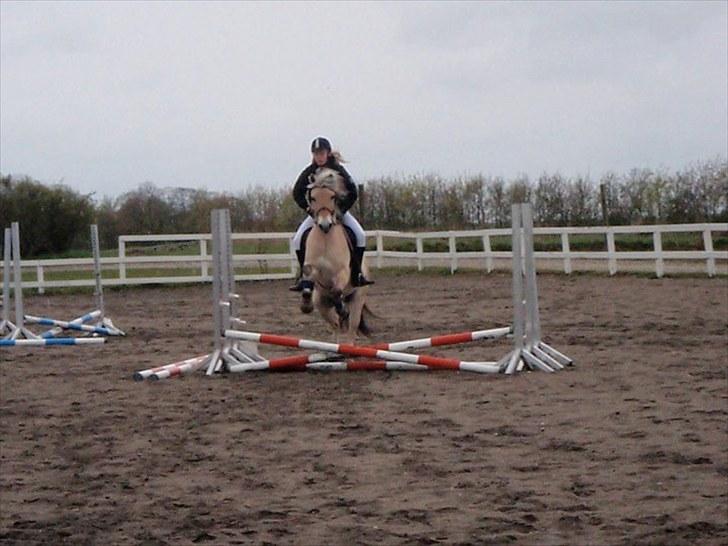 Fjordhest EMINENT (Emma) - Spring cup d. 8 maj 2010 foto: Sarah billede 6