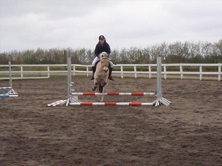 Fjordhest EMINENT (Emma) - Spring cup d. 8 maj 2010 Foto: Sarah billede 7