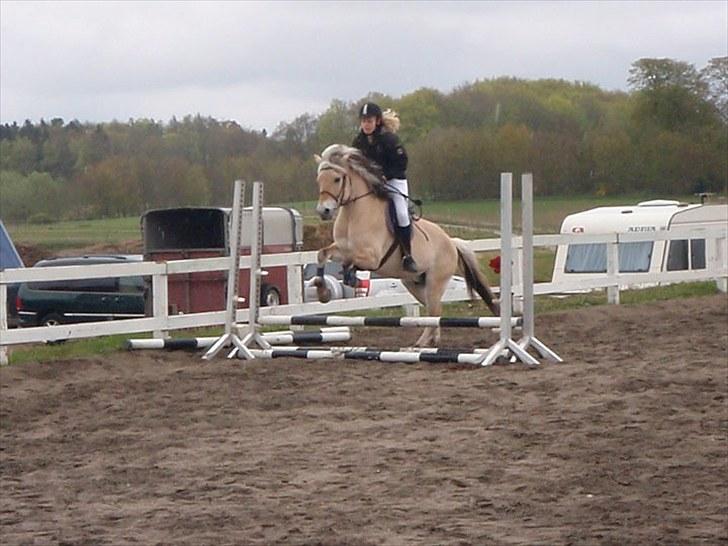 Fjordhest EMINENT (Emma) - Spring cup d. 8 maj 2010 Foto: Sarah billede 11