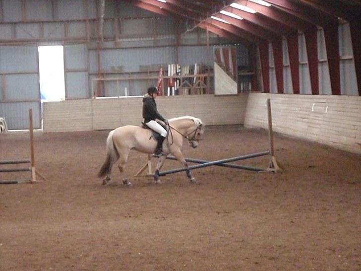 Fjordhest EMINENT (Emma) - Dressur på springbanen;) Foto: Sarah billede 13