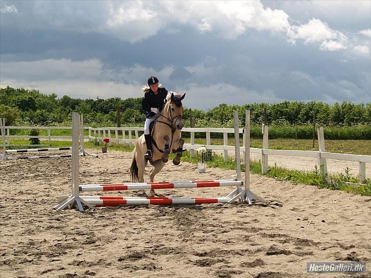 Fjordhest EMINENT (Emma) - Spring cup d.19 juni 2010 Foto: Peter eller Lisbeth  billede 16